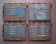 ��� - �͂񂾖�