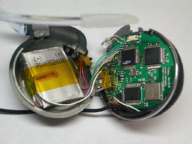 �����̗l�q