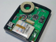 ���C�����X�����R�� - �����̗l�q