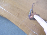 ������蓮��̗l�q(����2)