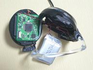 �����̗l�q