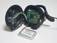 �����̗l�q